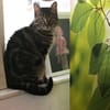 Mofli-Mäderl❤ sucht ihre Familie