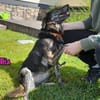 Ria geb. 07/2021 DRINGENDER NOTFALL! DE