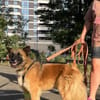 Ralf, ein treuer Begleiter