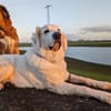 Ella wartet und wartet