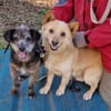 Uschi und Jack - Unzertrennlich