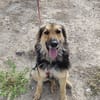 LUFY  (Patas Jumila)