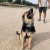 LUFY  (Patas Jumila)