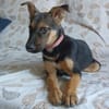 ABBY (Maria)