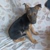 ABBY (Maria)