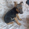 ABBY (Maria)