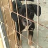 BLACKY (Maria)
