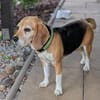 Paula, muntere Seniorin sucht Dich ❤