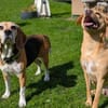 Paula, muntere Seniorin sucht Dich ❤