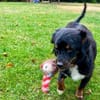 Klein BERTI sucht das große Glück