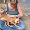 Sol6 sucht ein Zuhause