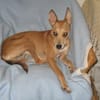 Sol6 sucht ein Zuhause