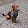 💙Mika💙 sucht seine Familie