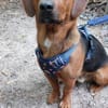 💙Mika💙 sucht seine Familie