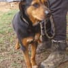 STELLA 2 sucht Zuhause