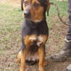 STELLA 2 sucht Zuhause