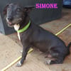 Simone