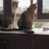 Happy & Kiara