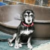 Dita, super brave Seniorin