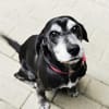 Dita, super brave Seniorin