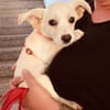 Snoopy wartet in 97529 Sulzheim