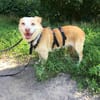Xina, kleine Persönlichkeit mit Herz