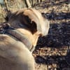 HUMPHREY muss Vertrauen zu dir aufbauen