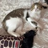 Lexi Quasselstrippe sucht ihre Familie