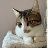Lexi Quasselstrippe sucht ihre Familie