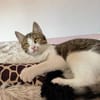 Lexi Quasselstrippe sucht ihre Familie