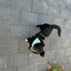 Adria - 5 Kilo, ein Bürohund gewesen