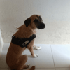 BAYKO