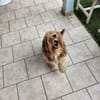 Roxy