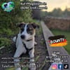 BOUNTY-möchtest Du mir SIcherheit geben?