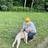 Gina-Golden Doodle will ein neues Leben
