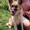 Kleine LIZA 2