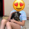 OSMO * kleiner Hund & großes Herz