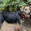 Zauberhafte Annegret sucht Zuhause