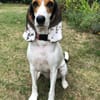 Olivia 4 -schüchtern,sanfter Charakter-