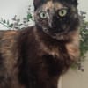 Sabrina