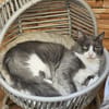 ONYX - ein absoluter Goldschatz!