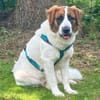PATCH - sanftes Riesenbaby