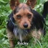 ROCKY