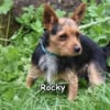ROCKY