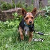ROCKY