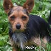 ROCKY