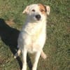 Lola ist wieder auf der Suche