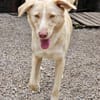 ‼ CREAM in 41236 Mönchengladbach🆘🆘