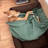 Alfie, stubenreiner Rüde, 5J 22765