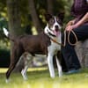 Cayo, 5 Jahre, sucht passenden Deckel